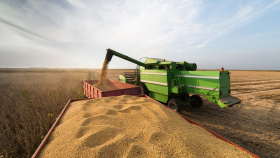 Экспортную пошлину на пшеницу с 29 июня поднимут до $146,1
